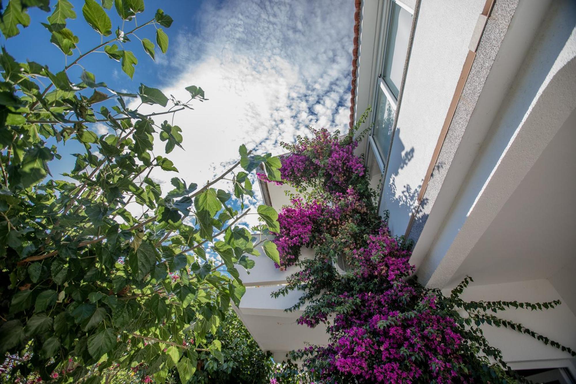 Apartman Rosa Супетарска Драга Екстериор снимка